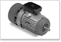 MGM-VARVEL Gear Motor - BA Series B14 Motor